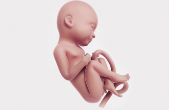 Week 39